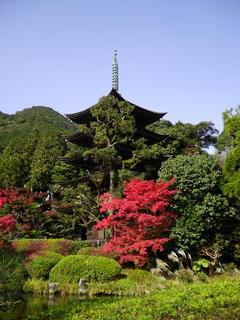 紅葉2010瑠璃光寺.jpg